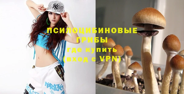метадон Няндома