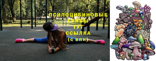 дурь Нязепетровск